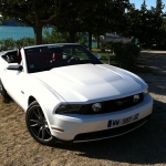 Location Ford Mustang gt